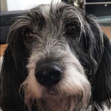 Profile image of Isabelle.De