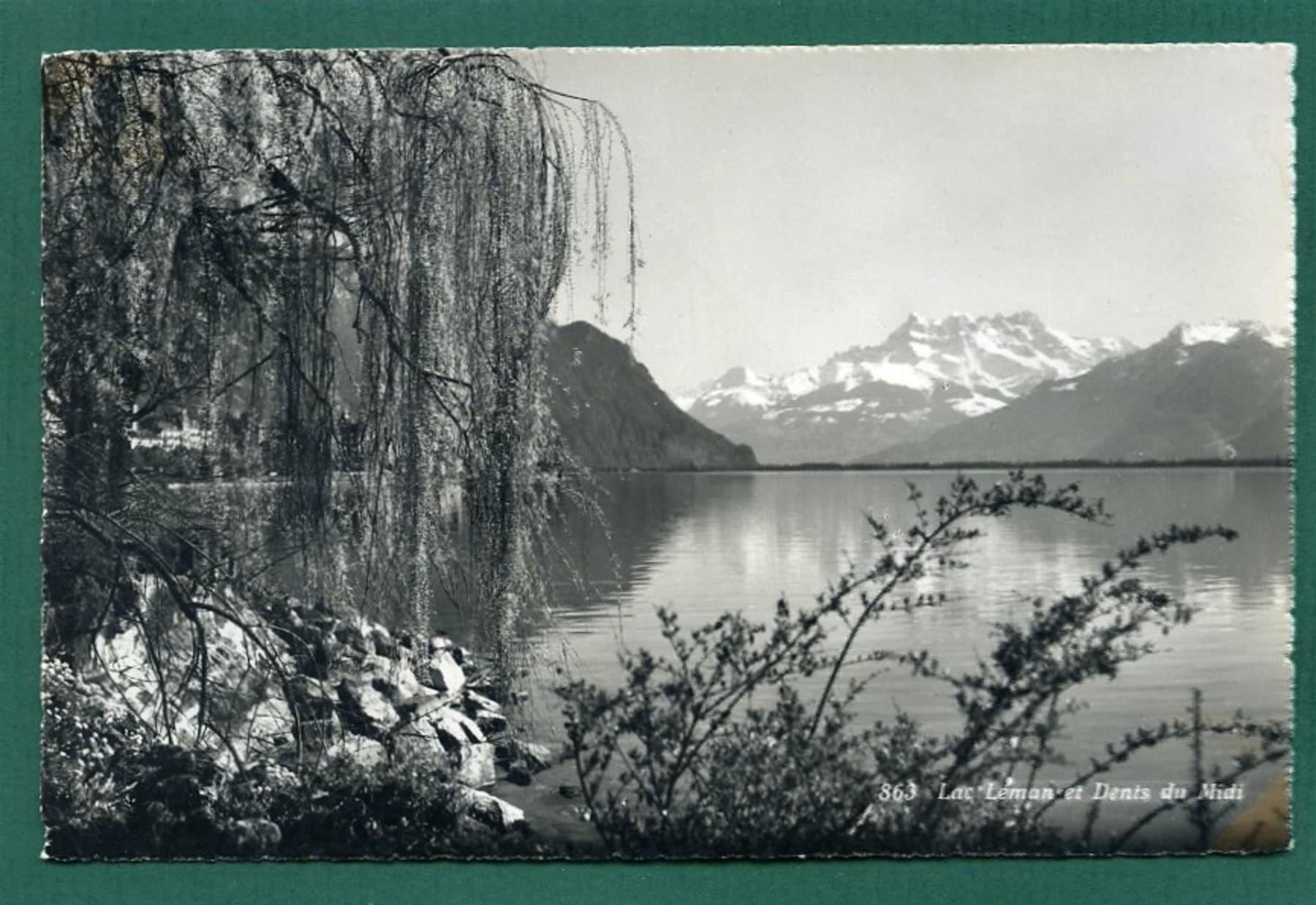 Cartoline postali: Lac Léman et Dents du Midi, ungelaufen – Usato da Sargans venduto da Hausi1951