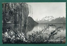 Lac Léman et Dents du Midi, ungelaufen