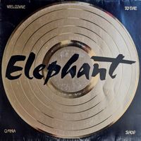 Elephant: Welcome To The China Shop LP