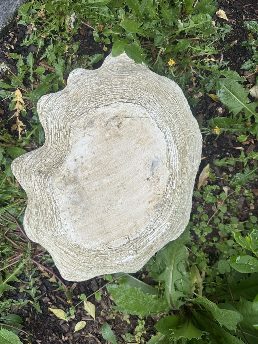 Pots de fleurs: Muschel Pflanztopf oder Deco – D'occasion à Uster par bek_v2ct 2
