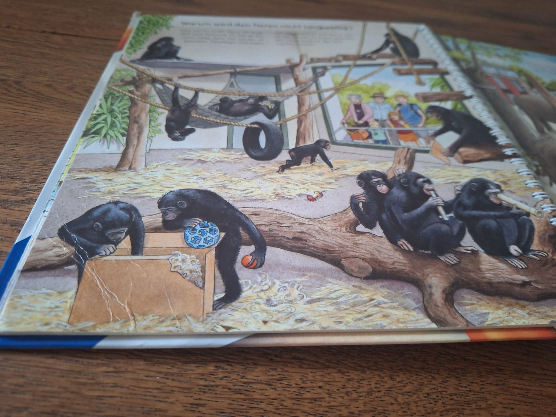 Bücher: Tiptoi Buch - Entdecke den Zoo – Gebraucht aus Reinach AG von MRoxanne 2