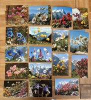 AK mit Blumen Foto Motiv
