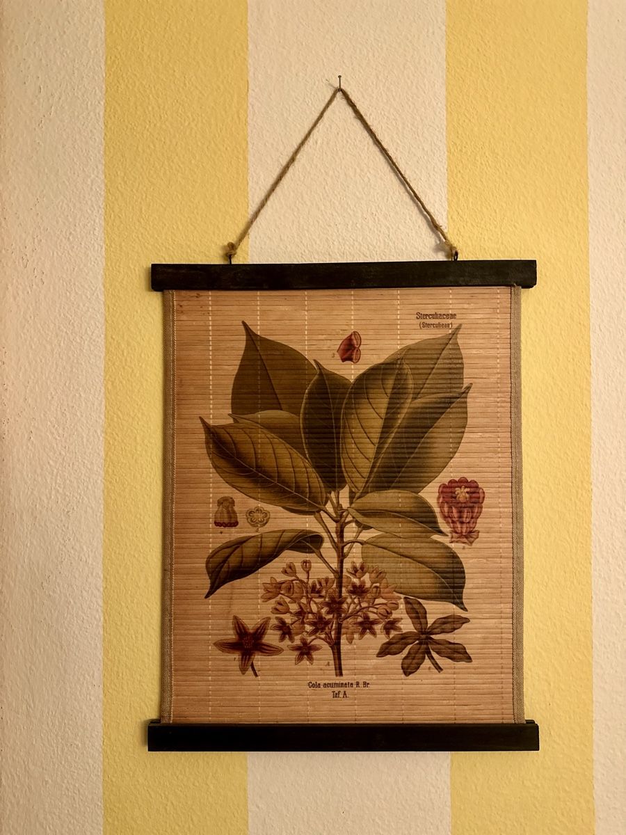 Foto & Immagini: Wandbild Naturmaterial Nr 1 – Nuovo (secondo la descrizione) da Altdorf UR venduto da StayClassy
