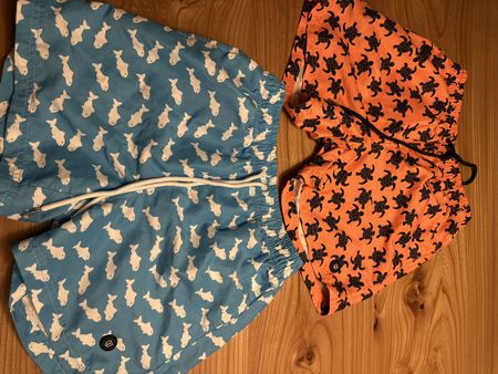 Badehose Set, Gr. 13/14, Sommer, Fische und Schildkröten