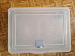 Unterbettbox mit Rollen von Rotho