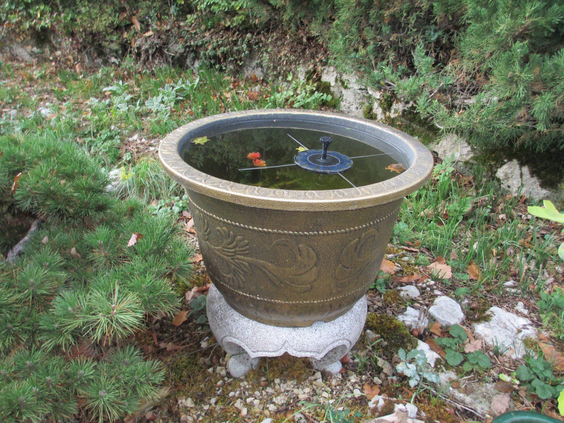 Vasi per fiori: Topf-Brunnen-Baum? – Nuovo e nell'imballaggio originale da La Heutte venduto da franco029 1