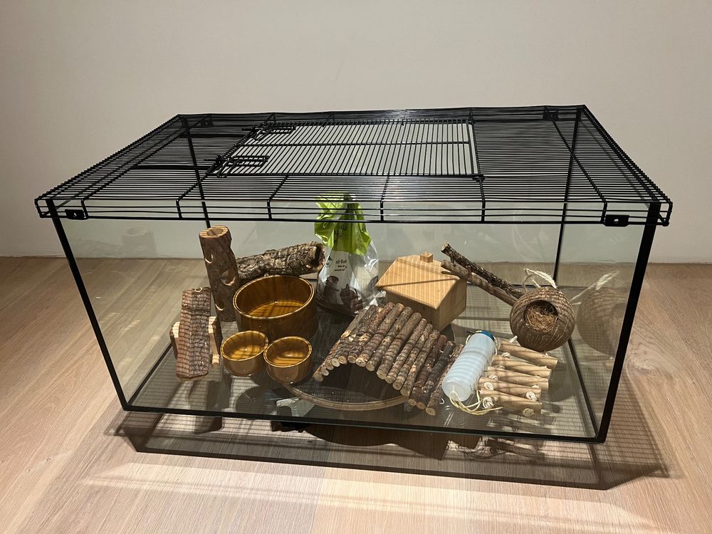 Hamsterkafig Aus Glas