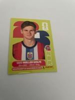 Panini Sticker FIFA WM 2111 David Moller Wolfe NOR7