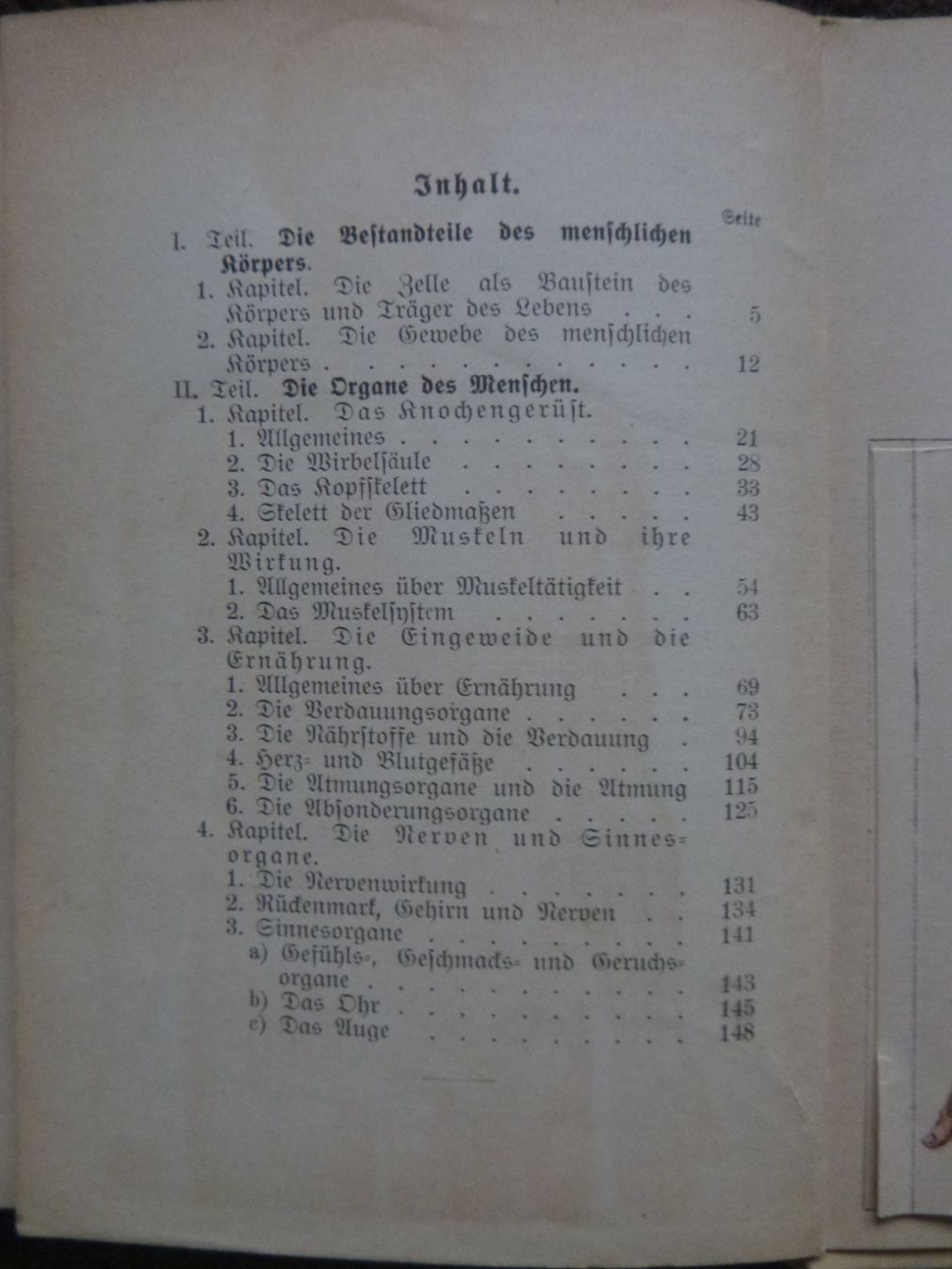 Libri: Der menschliche Körper - Prof. Dr. Horn – Usato da Diessenhofen venduto da farbschatten 5