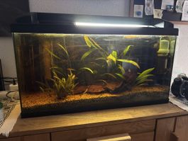 AQUARIUM    78,5 X 29 X 41,5    ,   INKL  .   ZUBEHÖR