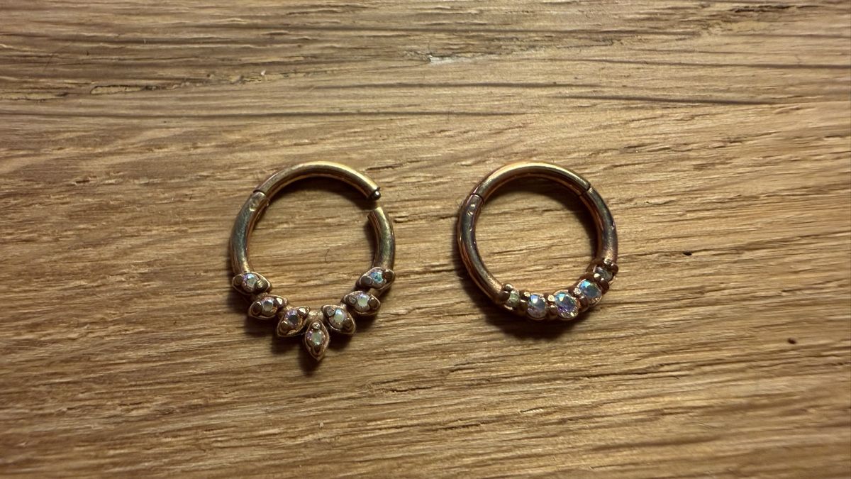 Gioielli per piercing: 7 Clicker Segment Rings - Septum Ear – Usato da Gebenstorf venduto da D0minika 8