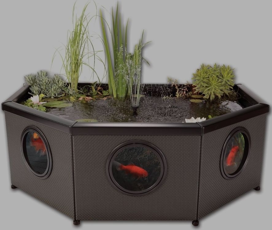 Teich/Hochteich ca 500 Liter Kaufen auf Ricardo