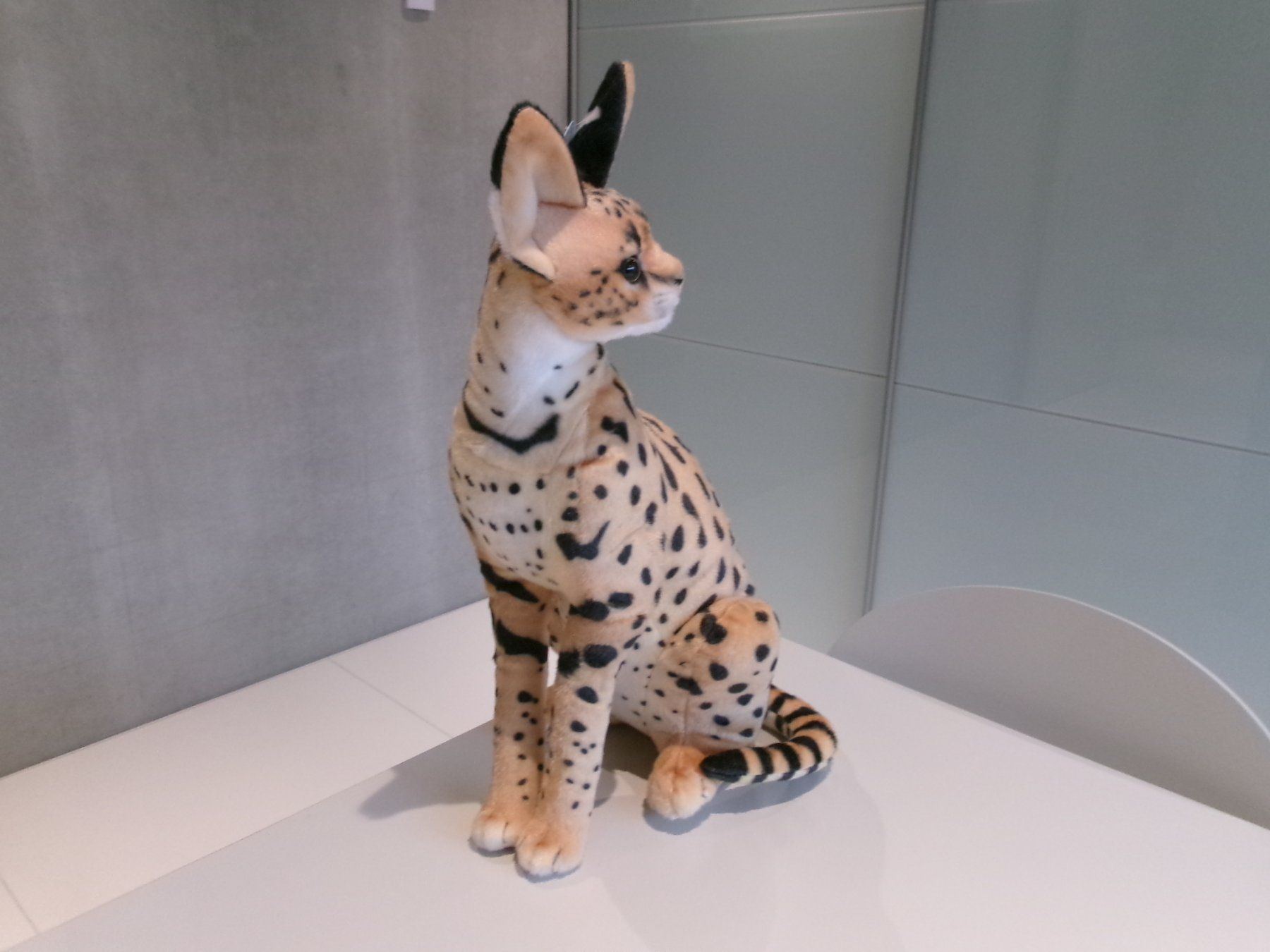 Giocattoli: Dubi / Serval  / Savannah-Katze / 49 cm – Nuovo e nell'imballaggio originale da Welschenrohr venduto da StarRecordsGmbH 5