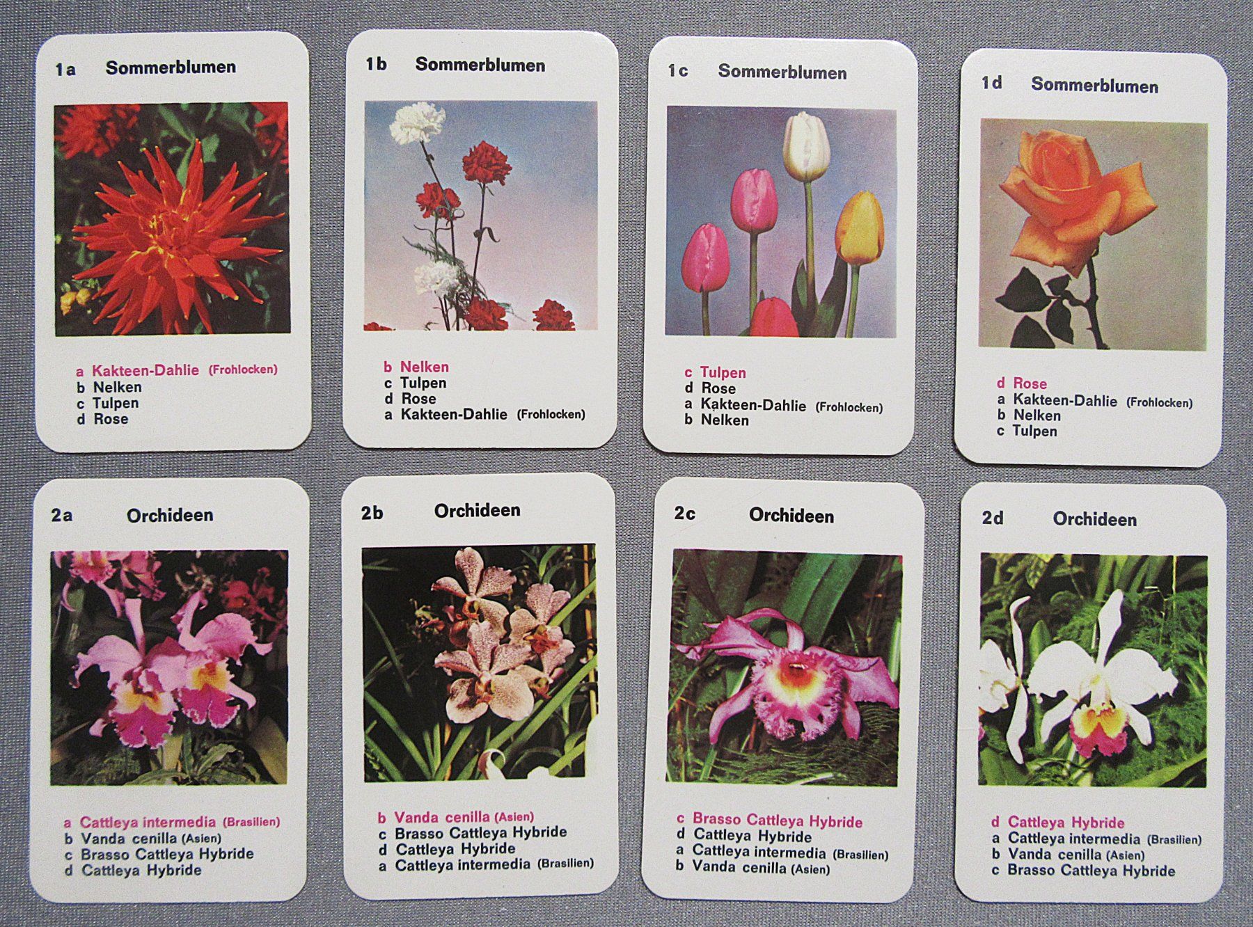 Giochi: Quartett  - Die schönsten Blumen - mit 32 Karten – Usato da Auenstein venduto da Padabimbim 2