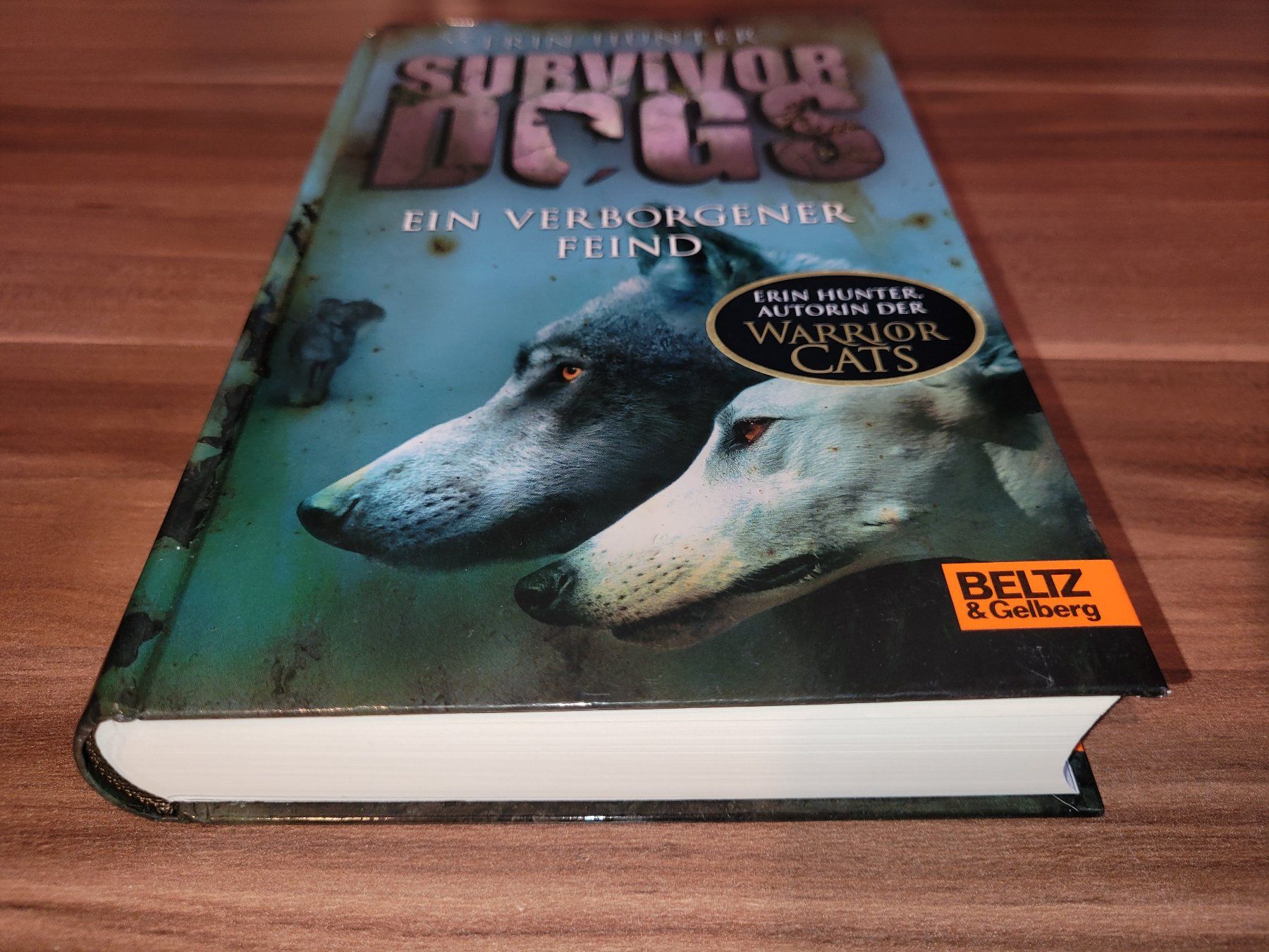 Bücher: Survivor Dogs – Gebraucht aus Beinwil (Freiamt) von Tourigny 1