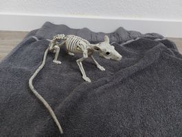 Skelett Ratte 20cm Plastik Halloweendeko