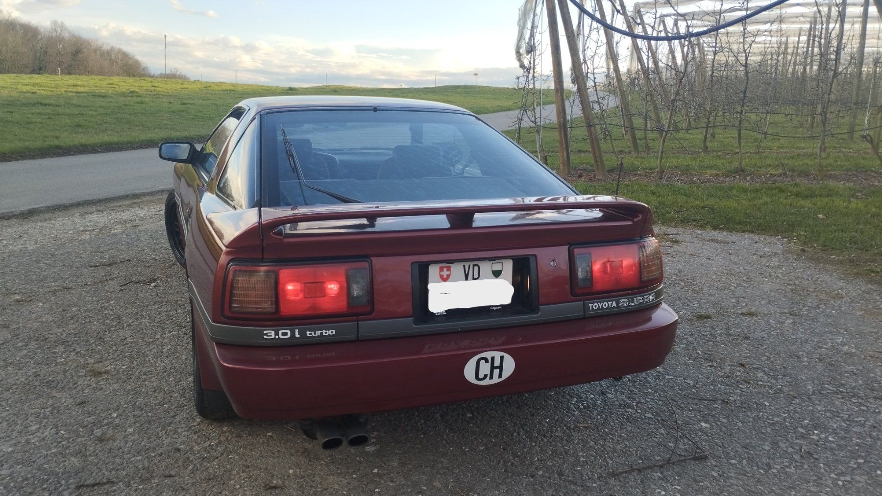 Toyota Automobili: Toyota Supra 3.0 Turbo – Usato da Cossonay-Ville venduto da Ya2win 3