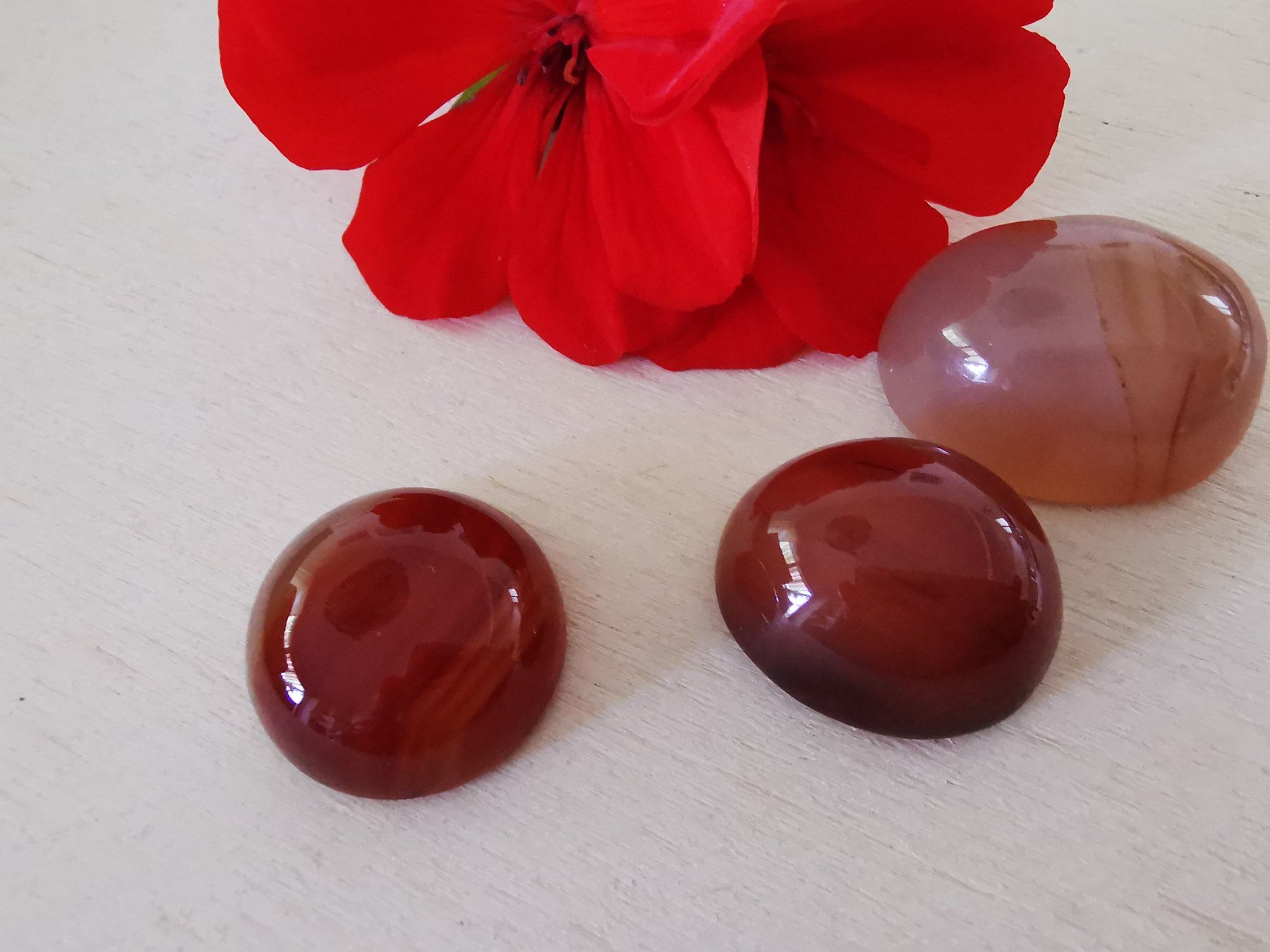 Minerali & Pietre curative: 3 Stk. grosse Karneol Cabochon / Lager-Sondererkauf – Nuovo e nell'imballaggio originale da Dierikon venduto da Buntspecht-10 1