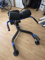Rückentrainer MAXXUS Hyperextension Pro, gebraucht