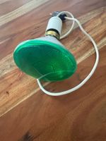 Growlicht wo die Pflanzen nicht Stört/Kontrolllicht