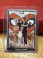 Marvel Anthology The Wedding of Peter and MJ