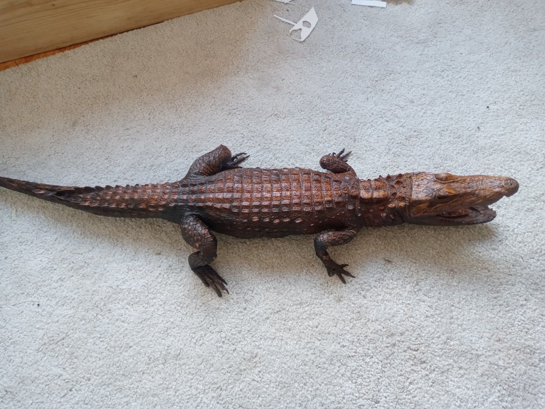Monde des animaux: Alte Tierpräparat, Kaiman? 110cm lang – D'occasion à Prez-vers-Siviriez par Monija70