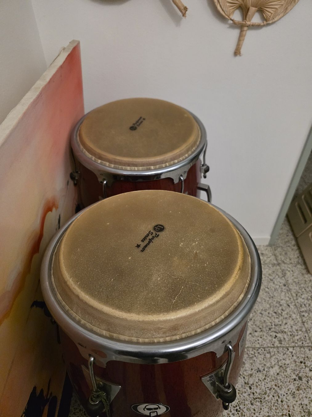 Strumenti musicali: Congas LP Performer Series Set mit Ständer gebraucht – Usato da Zürich venduto da superaysi 1