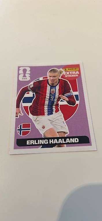 Carte collezionabili: Panini extra sticker Haaland – Usato da Bern venduto da asa_twq7