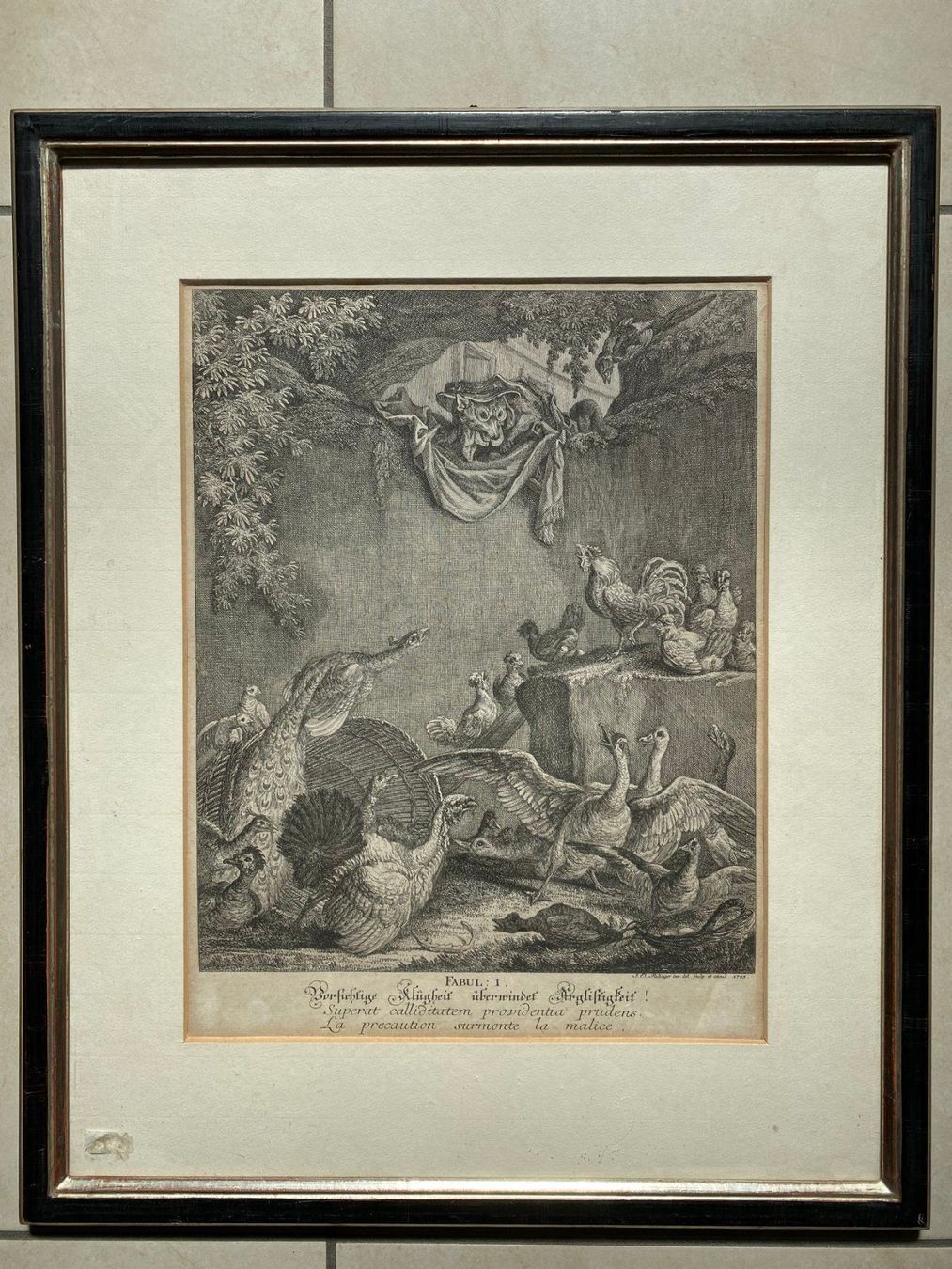 Stiche: Kupferstich Johannes Ridinger original – Gebraucht aus Vaduz von Unikate-Markt