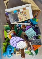 Div. Lego Friends