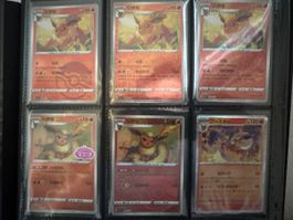 🔥Flareon - 6 Karten🔥