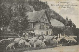Littau LU Thorenberg Gasthaus zum Hammer Fuhrwerk ca. 1910