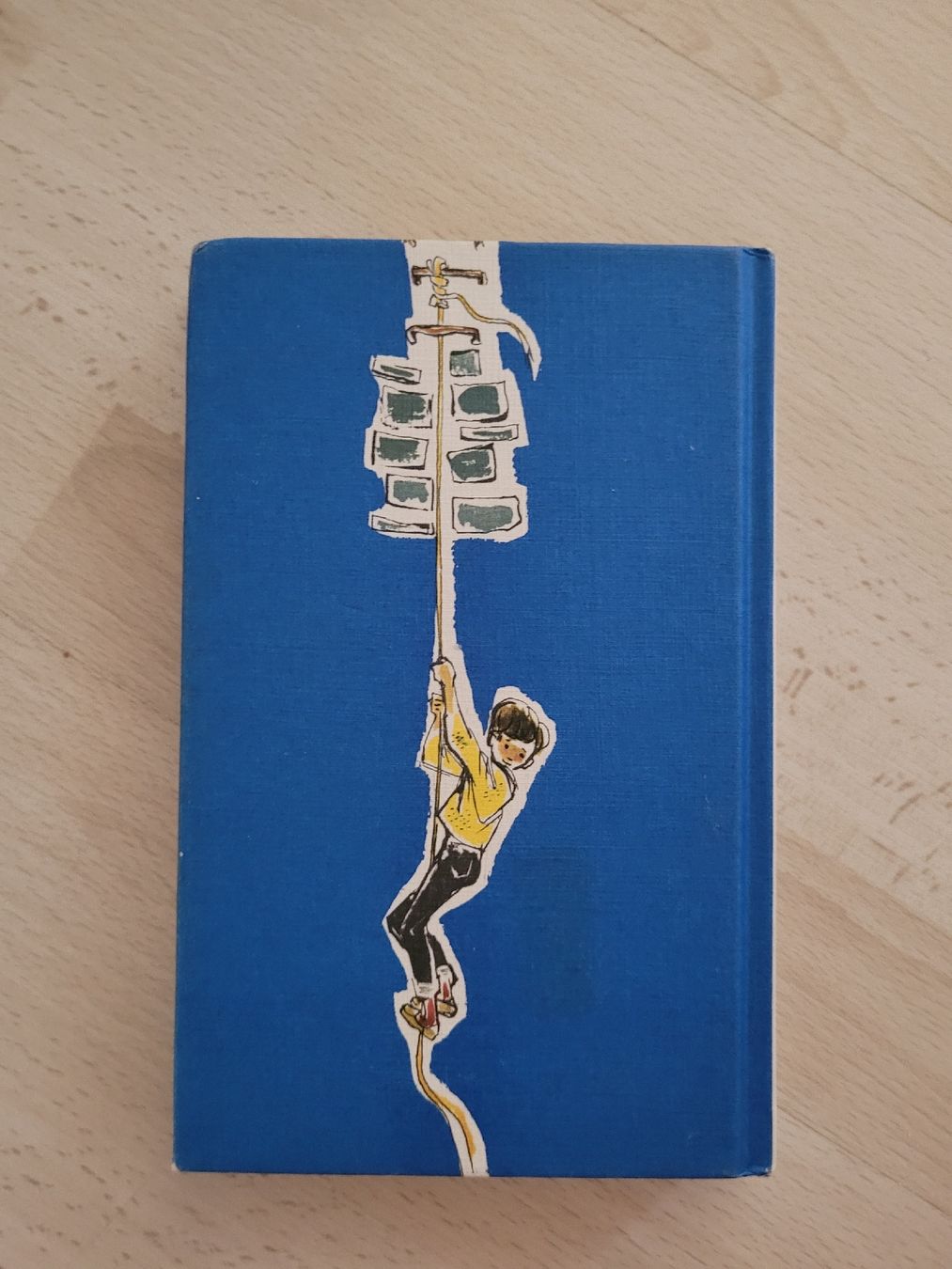 Libri: 5 Freunde erforschen die Schatzinsel – Usato da Perlen venduto da Safari_23 1