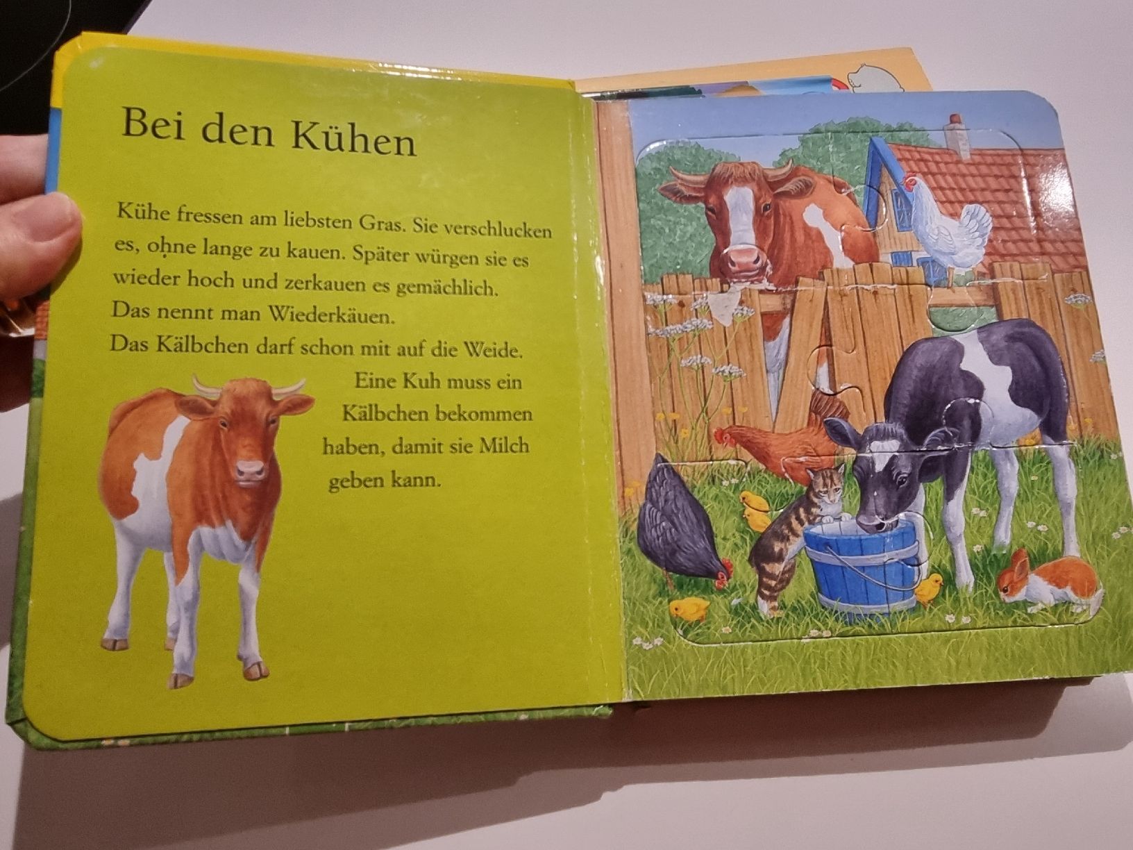 Livres: 3 Kinderbücher – D'occasion à Steinen par turbogeiss99 4