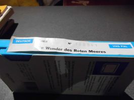 Video Die Wunder des Roten Meeres