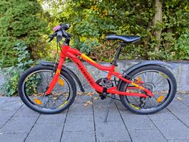 Kinderfahrrad Haibike Greedy 20 Zoll rot guter Zustand