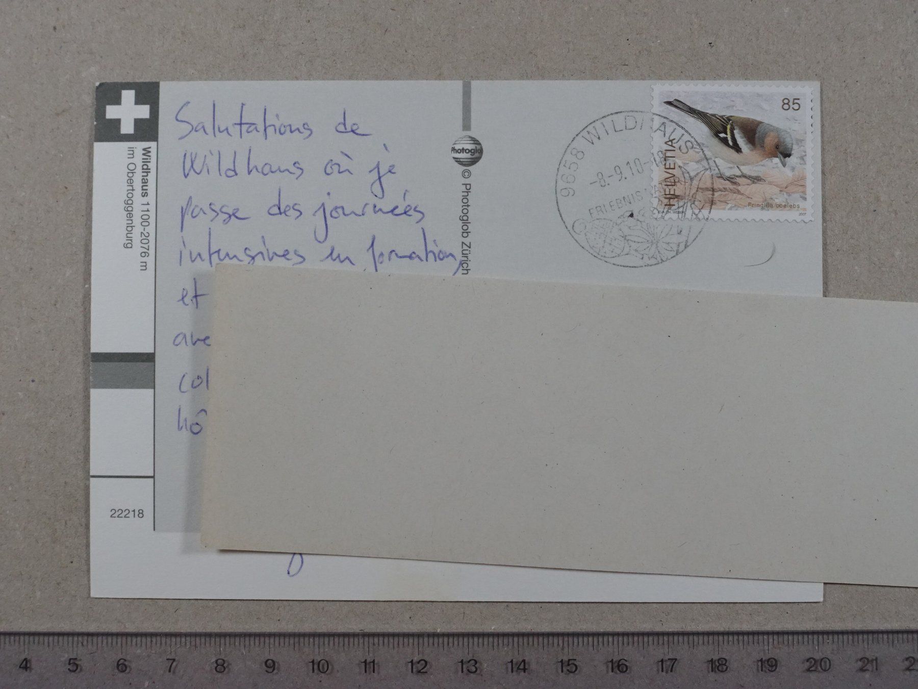 Cartoline postali: Wildhaus, 2010 – Usato da Lenzburg venduto da fh1 1