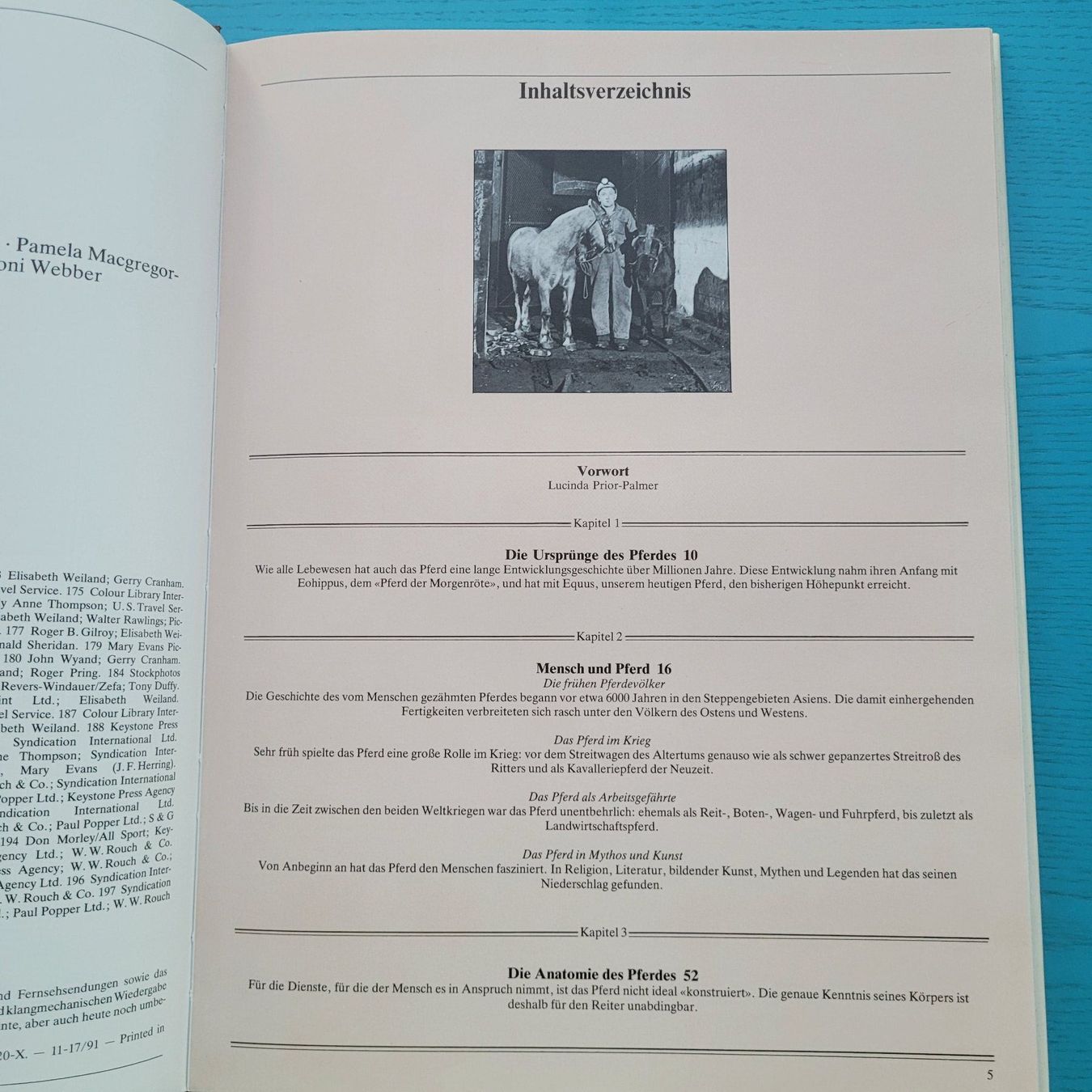 Libri: Das grosse Buch vom Pferd – Usato da SCHÜBELBACH venduto da CoKaHa 2