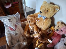 Konvolut Steiff und Teddy Teddybären Jubiläums Editionen