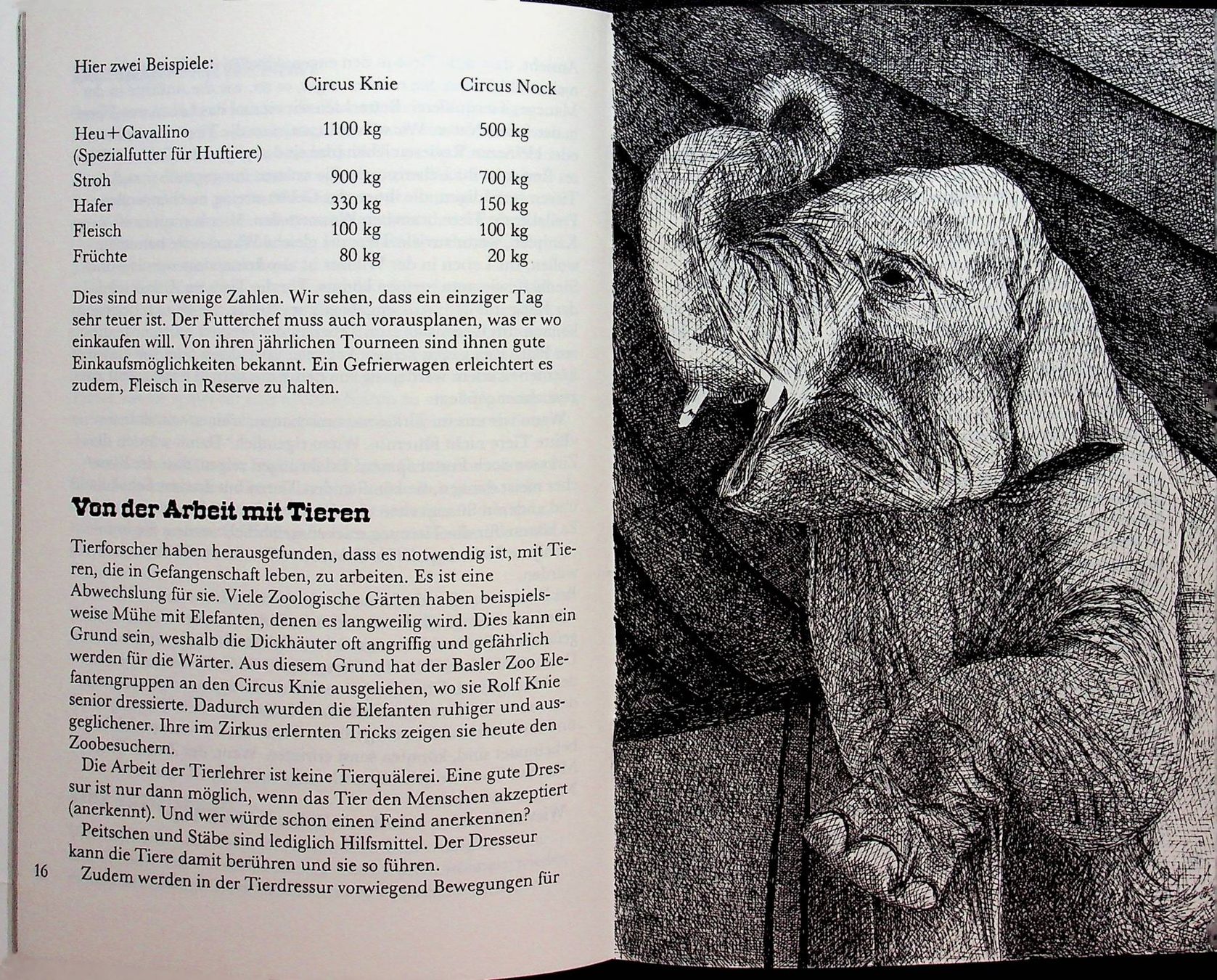 Bücher: SJW 1684 Marc Ingber Zirkus EA 1984 – Gebraucht aus Reitnau von Zaomir 5