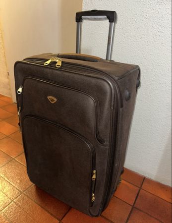 Rollkoffer, Koffer, Braun, Leder, elegant