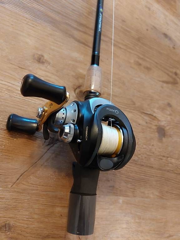 Canne da pesca: Daiwa Jerkbait-Rute & Quantum Baitcastrolle – Usato da Vella venduto da AnMarc93 1