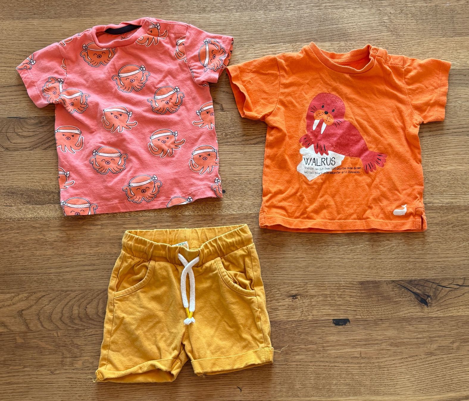 Lotti & Set di vestiti: Kleiderpaket Grösse 74 Nr.35 – Usato da Wald ZH venduto da 2kndPlant