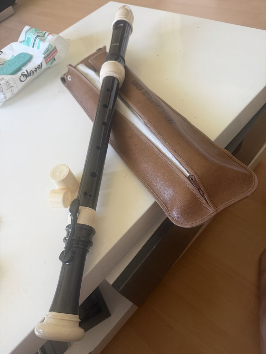 Strumenti musicali: Blockflöte – Usato da Baden venduto da noli.r 1