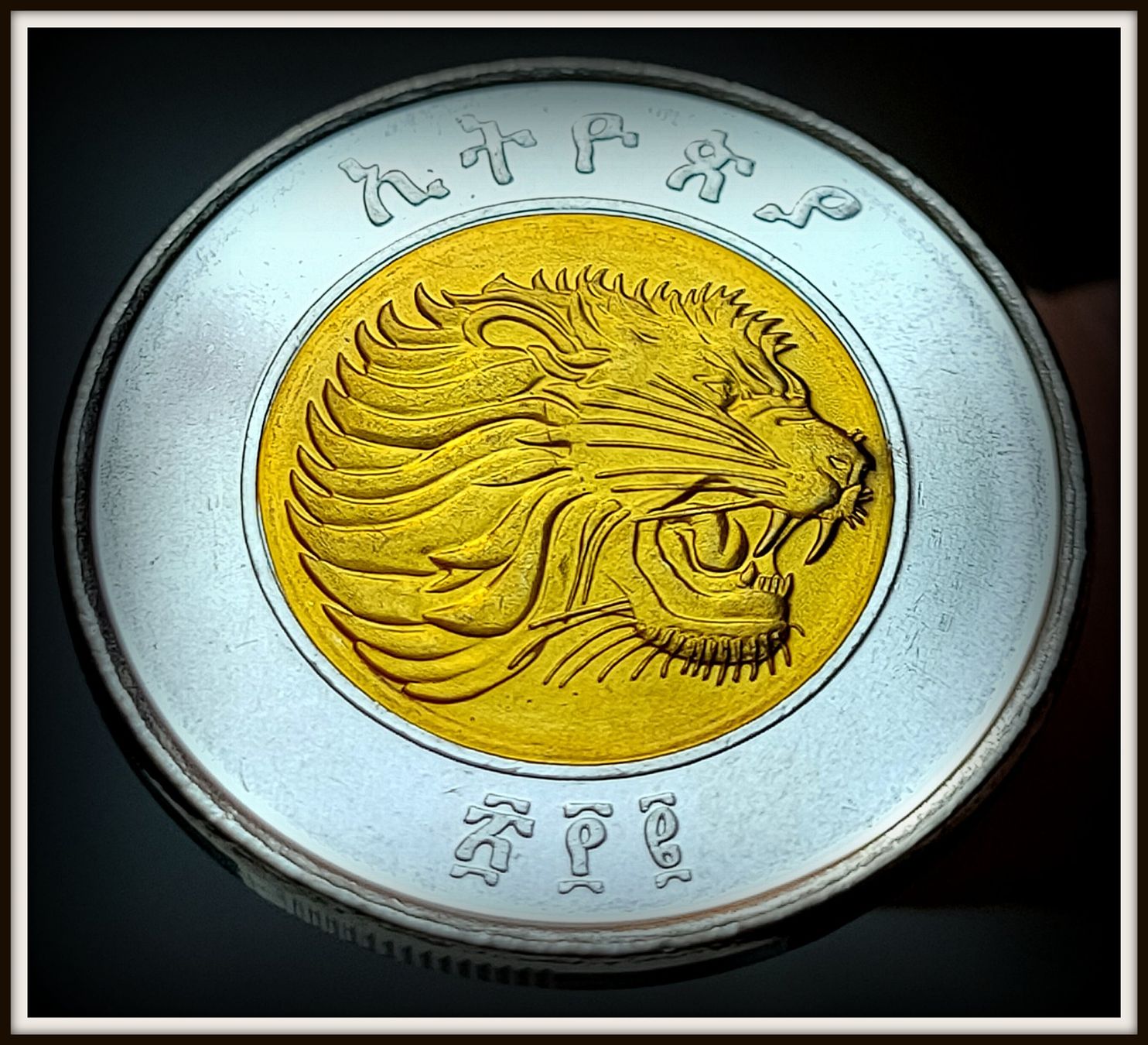 Tutti le monete: ÄTHIOPIEN 1 BIRR 2010 UNZ. – Nuovo (secondo la descrizione) da winterthur venduto da CoinPassion 1