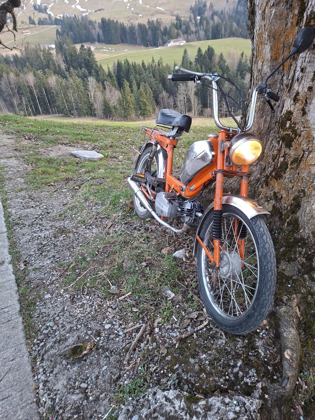 Kreidler Mofas: Kreidler Mofa orange  – Gebraucht aus Urnäsch von sal_t9pk 1