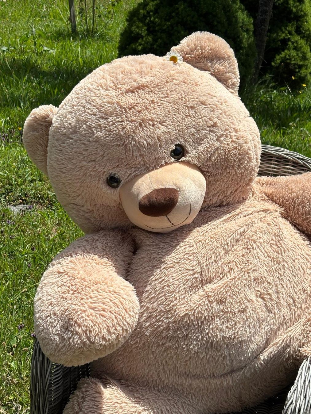 Jouets: XXL Teddybär – D'occasion à Bennau par Stierweid 2