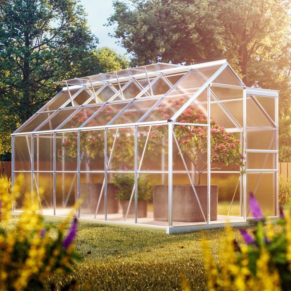 Casette da giardino & serre: Alu Gewächshaus XXL – Nuovo e nell'imballaggio originale da Winterthur venduto da aredo 4