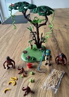 Playmobil 70345 Orang Utans